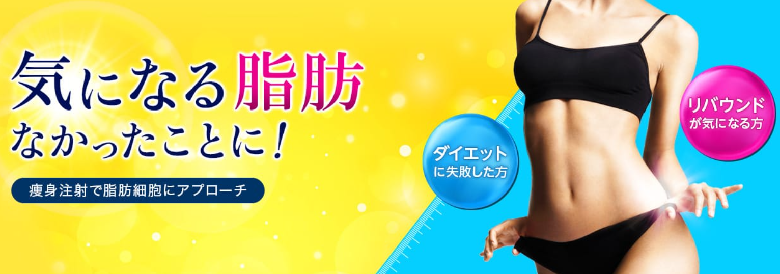 品川美容外科のダイエットの画像