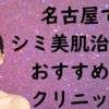 名古屋のシミの画像