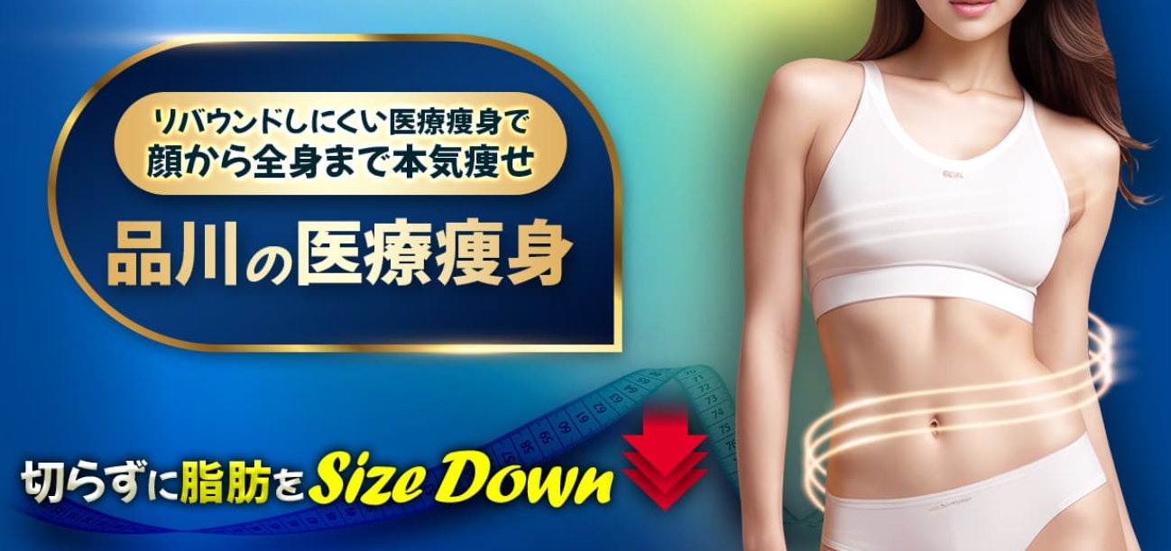 品川美容外科のダイエットの画像
